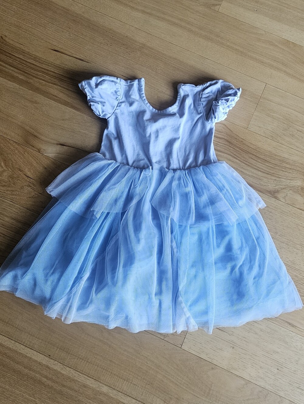 Hanna Andersson Light Blue Tulle Party Dress